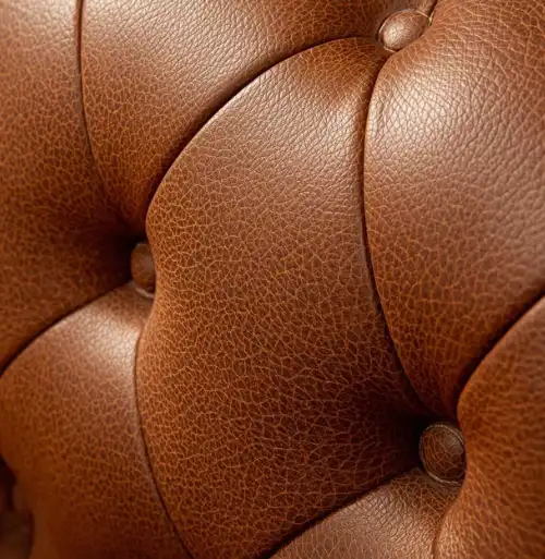 Untitled design - 2026-01-22T230239.746